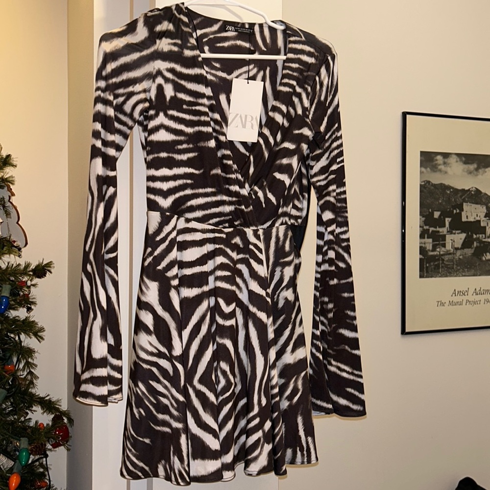 Zara v neck dress
